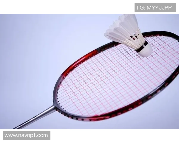 重庆羽毛球队的战术解析与阵地战深度剖析